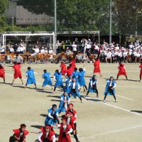 保護中: 心を一つに、力を出し切った運動会