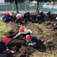 サツマイモほり