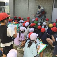【３年生】大根の種植え