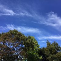 【１年生】生活科「秋の公園へ行こう」