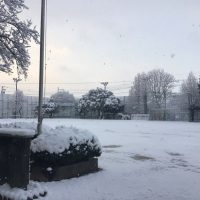 雪がふった日