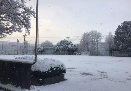 雪がふった日