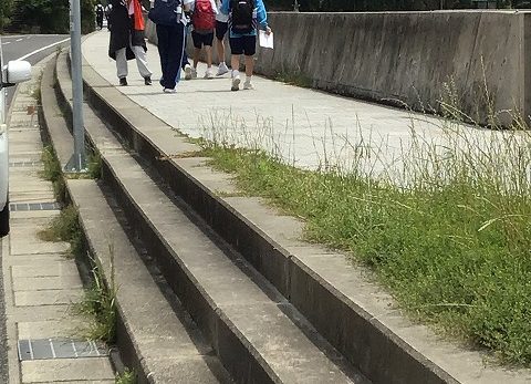 保護中: 活動　アジの開きづくりとオリエンテーリング