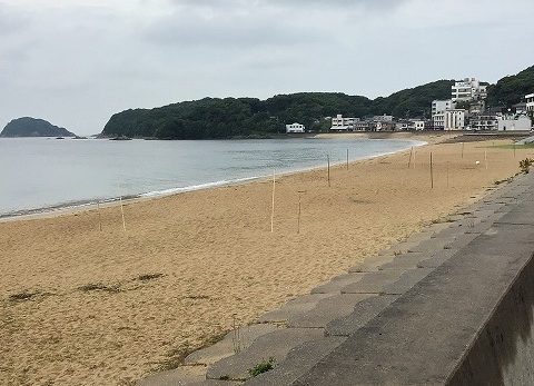 保護中: 篠島研修2日目