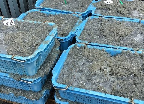 保護中: 昼食後の休憩