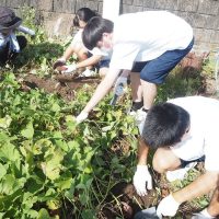 令和６年10月25日（金）　OCの仲間が育てたサツマイモを使った給食