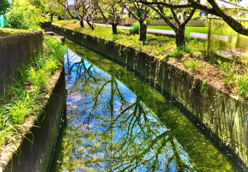 令和７年５月８日（木）　オープンクラス 学校の周りでこんな素敵な場所を見つけました