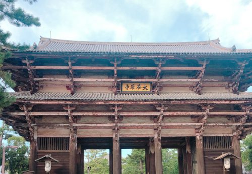 保護中: 修学旅行②東大寺から奈良公園判別研修・・そして奈良のお買い物