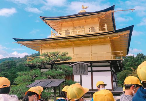 保護中: 修学旅行⑤　金閣寺の見学