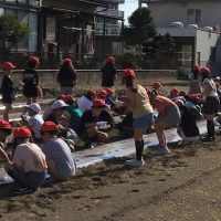 ３年　大根の種まき