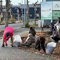 島南公園の落ち葉掃除