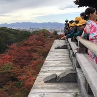 修学旅行2日目！紅葉に包まれた京都へ！