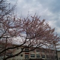 ありがとう、さようなら、６年生