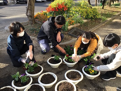 R6　地域よりいただいた花の苗（パンジー）を植えました