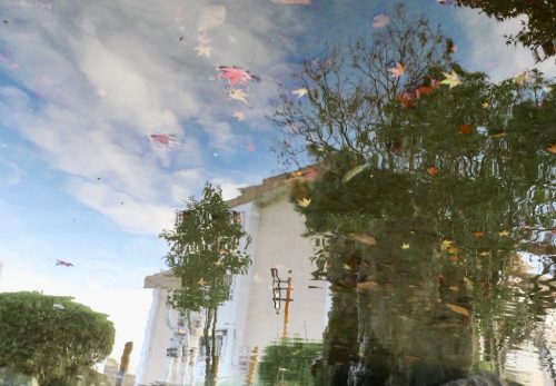 R7　校庭の様子（12月）