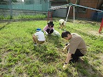 PTA草刈り作業