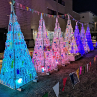 光でつなぐ杜のイルミネーション