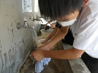 保護中: 青空の下で手洗い洗濯体験