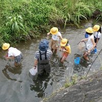 自然観察指導員から学ぶ！戸石川の水質や水生生物