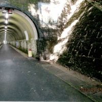 ドリームトンネル周辺がとてもきれいに！