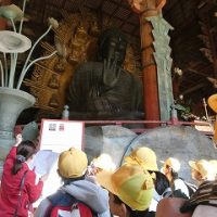京都・奈良への修学旅行②～２日目は奈良へ～