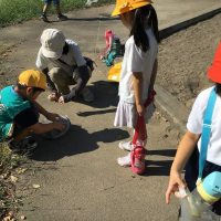 秋の野田公園