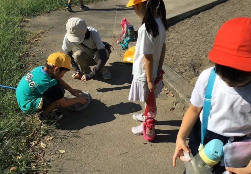 秋の野田公園