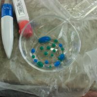 5年図工　かがやく色水　大発見