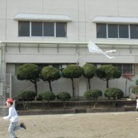 冬を楽しもう　たこあげ！