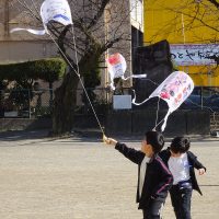 （１月２１日）たこ、たこ、あ～がれ