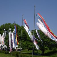 （５月５日）どんとこいこい祭り