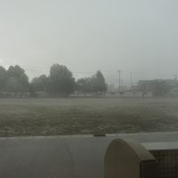 （６月２３日）雷ゴロゴロ⚡