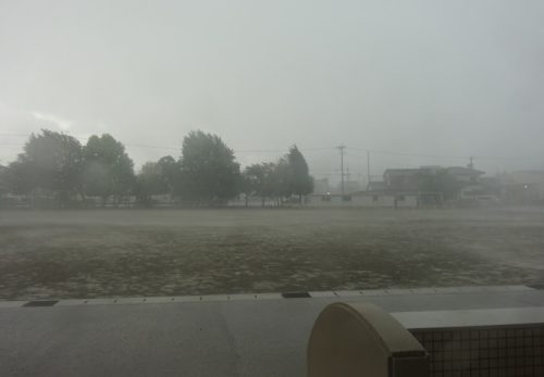（６月２３日）雷ゴロゴロ⚡