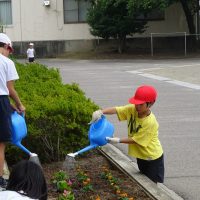 （６月２７日）きれいに咲いてね🌼