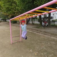 （９月２５日）めっきり涼しくなってきました