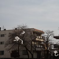 （１月１５日）たこたこあ～がれ！