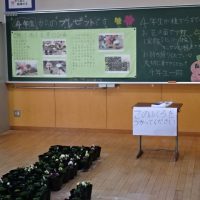 （２月１９日）今年度最後の授業参観